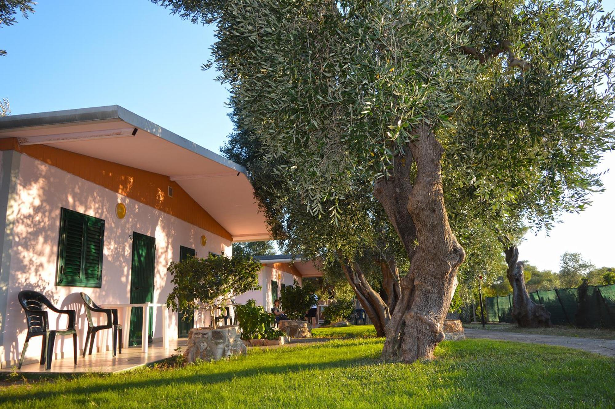 Villaggio Uliveto Rodi Garganico Εξωτερικό φωτογραφία