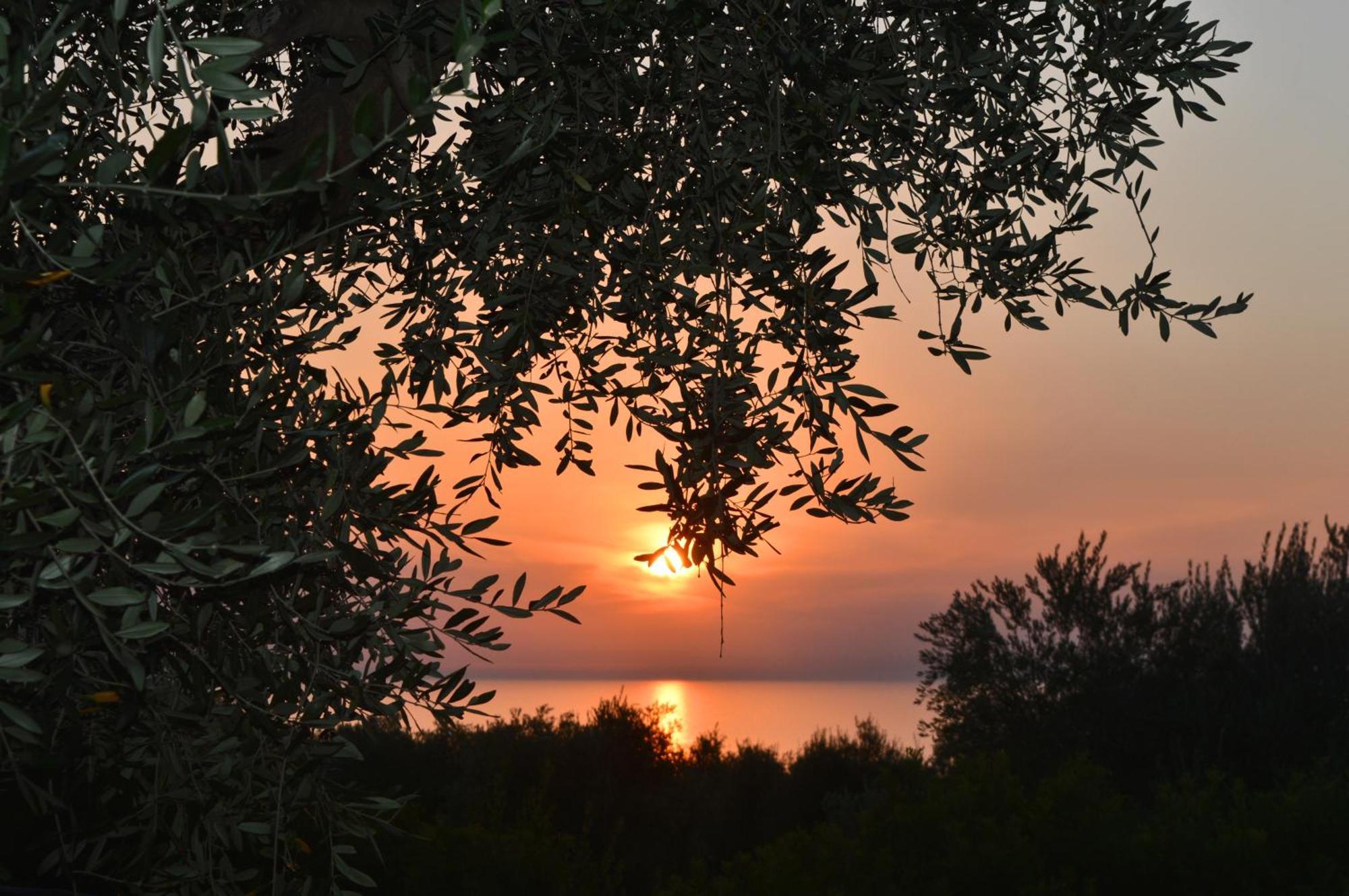 Villaggio Uliveto Rodi Garganico Εξωτερικό φωτογραφία