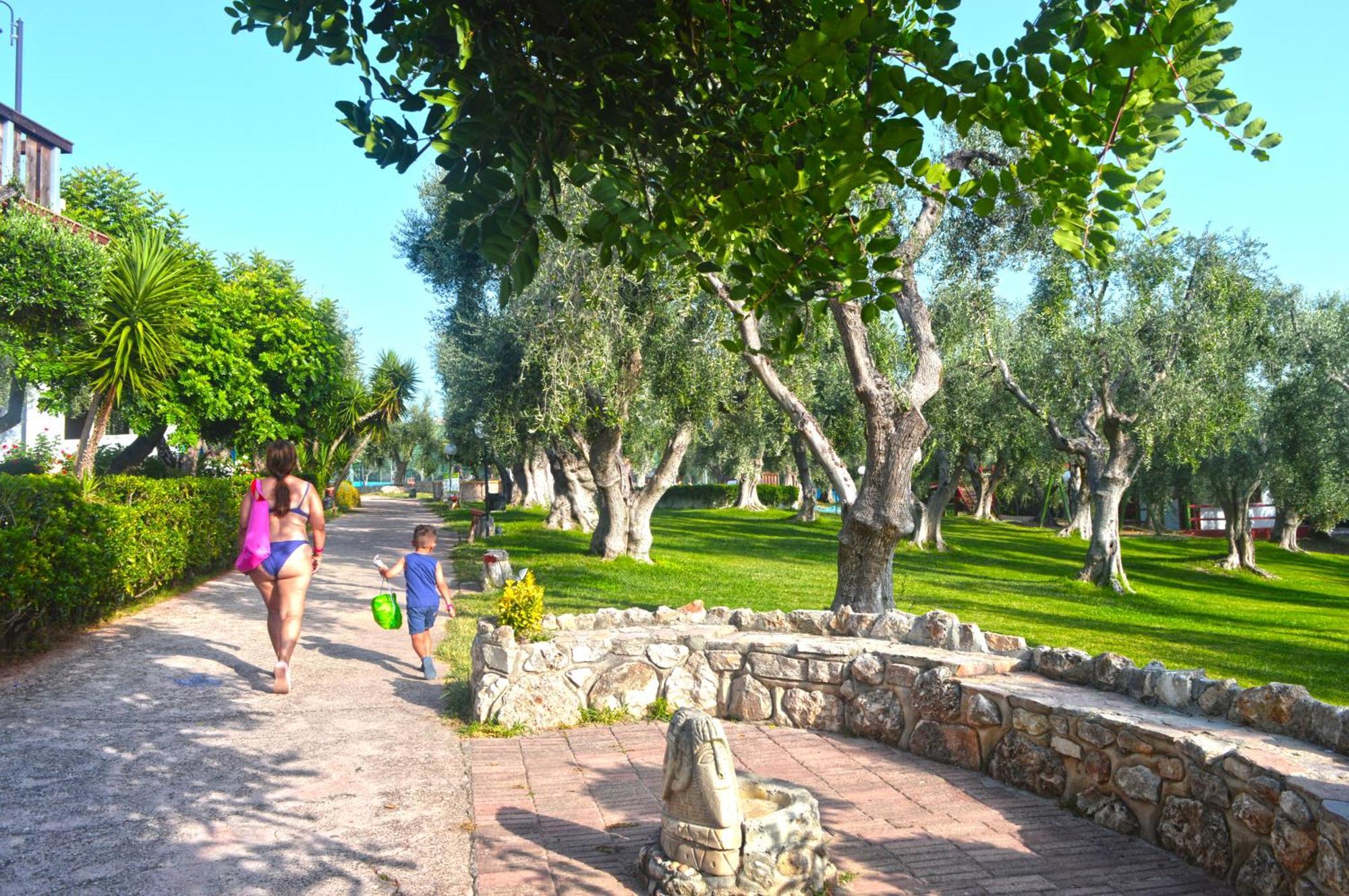 Villaggio Uliveto Rodi Garganico Εξωτερικό φωτογραφία