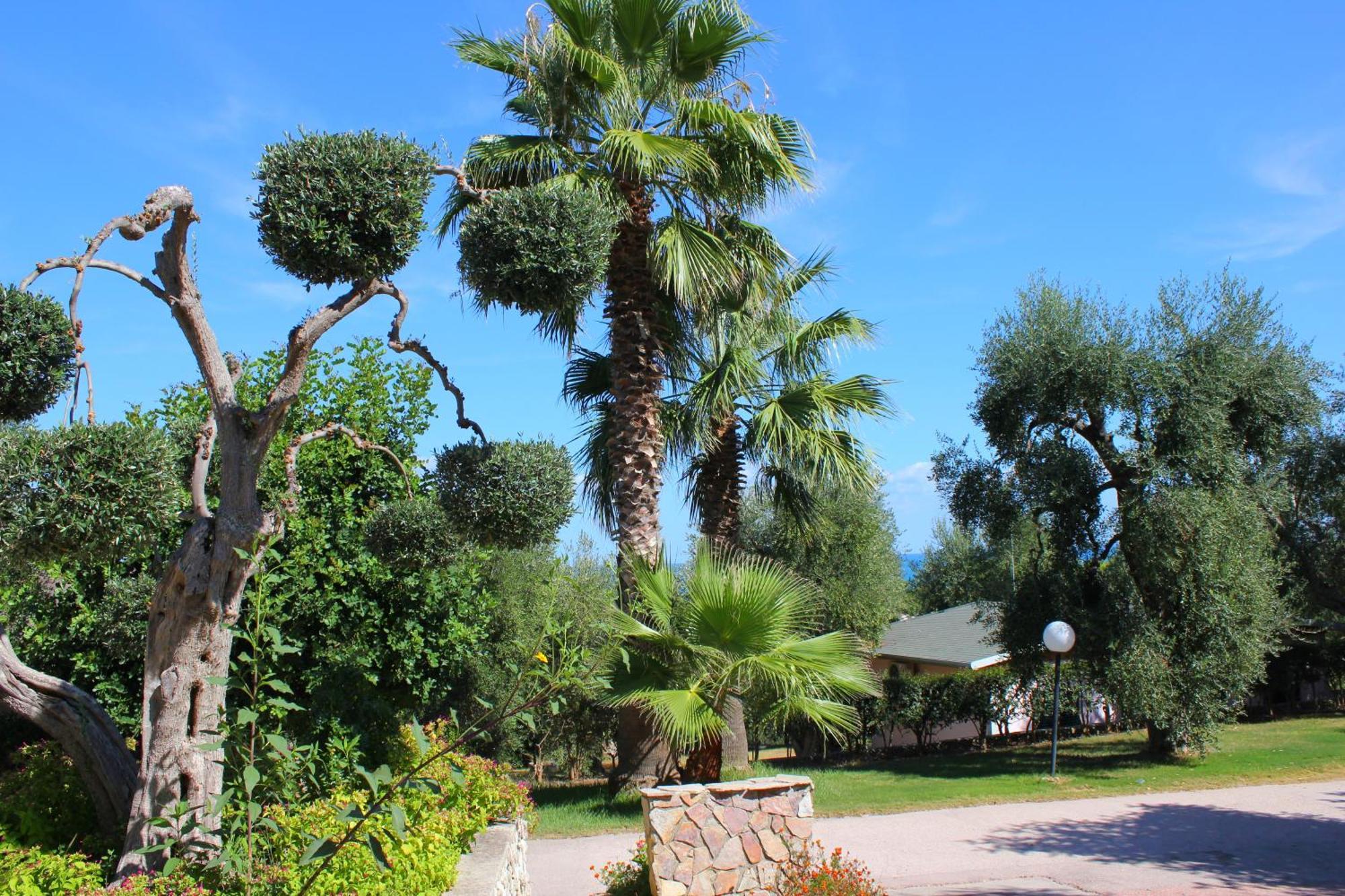 Villaggio Uliveto Rodi Garganico Εξωτερικό φωτογραφία