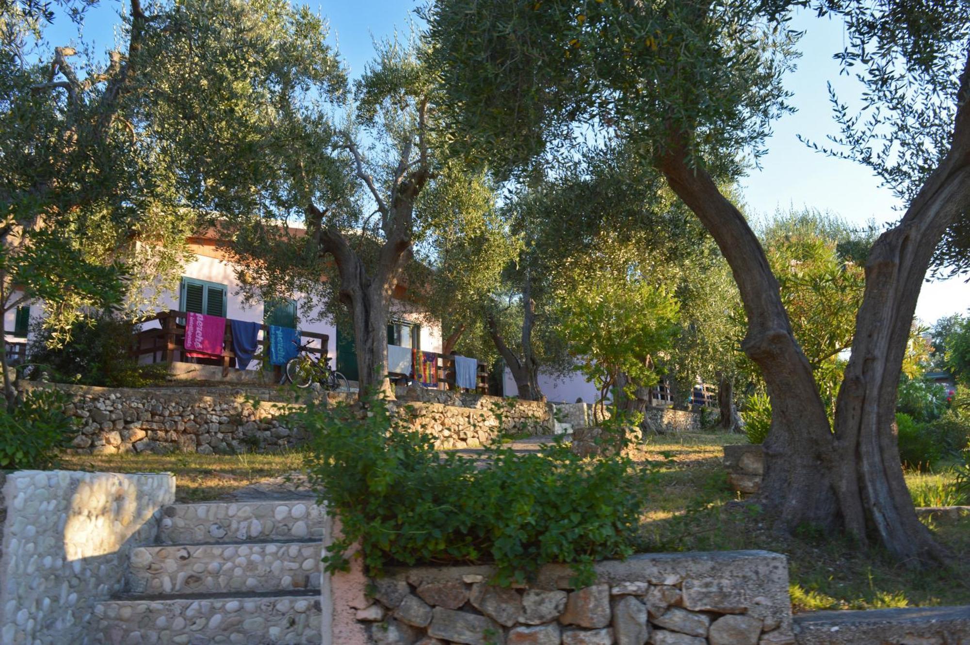 Villaggio Uliveto Rodi Garganico Εξωτερικό φωτογραφία