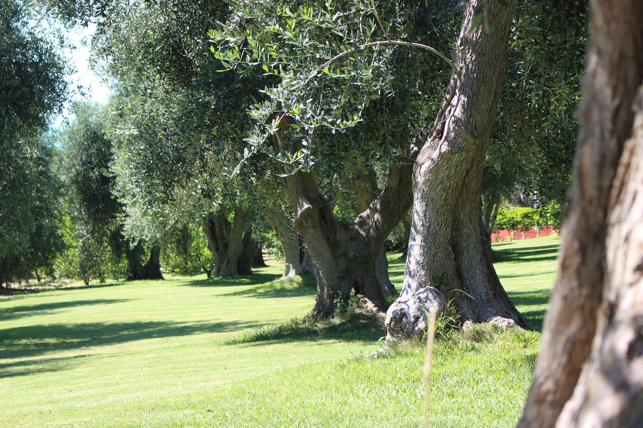 Villaggio Uliveto Rodi Garganico Εξωτερικό φωτογραφία